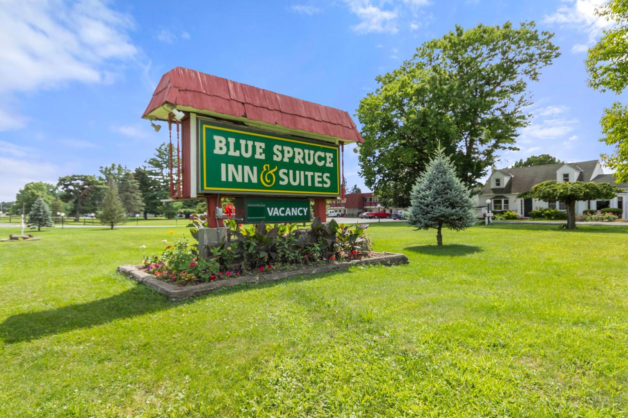 Blue Spruce Inn & Suites Valatie Exterior photo